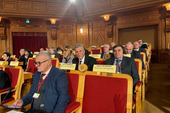 Members of the Delegation of the Parliamentary Assembly of Bosnia and Herzegovina (PABiH) participate in the 104th Rose Roth Seminar of the NATO Parliamentary Assembly in Stockholm